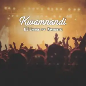 DJ Chase - Kwamnandi (feat. Kwaaito)